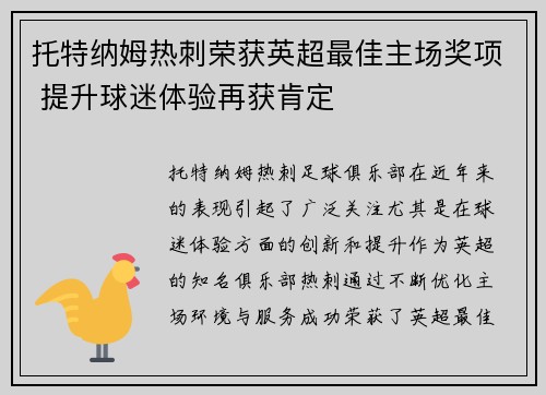 托特纳姆热刺荣获英超最佳主场奖项 提升球迷体验再获肯定